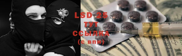 трава Няндома