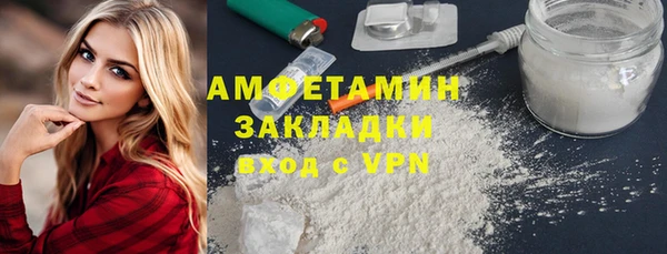 трава Няндома